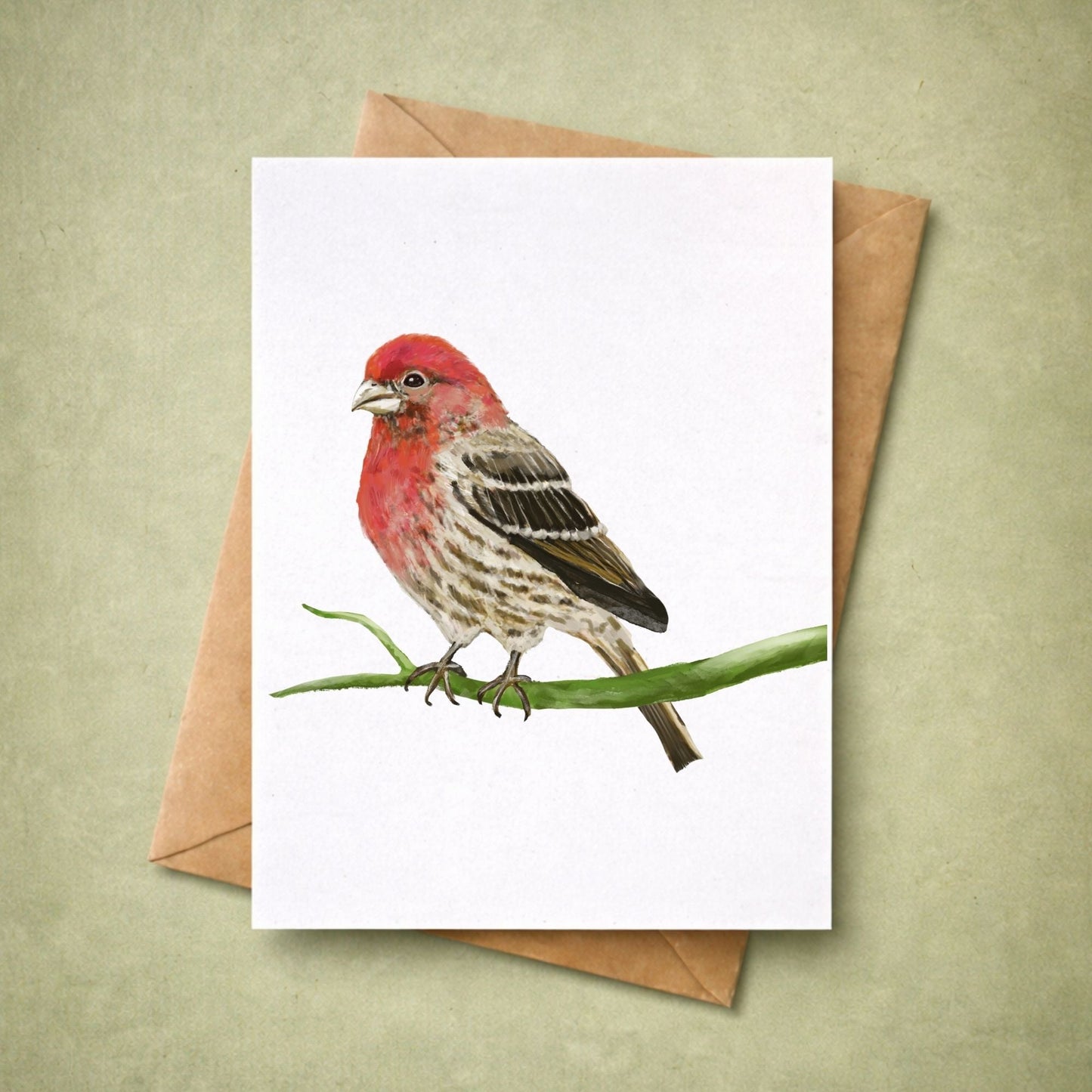 House Finch Postcard - MerikaArt