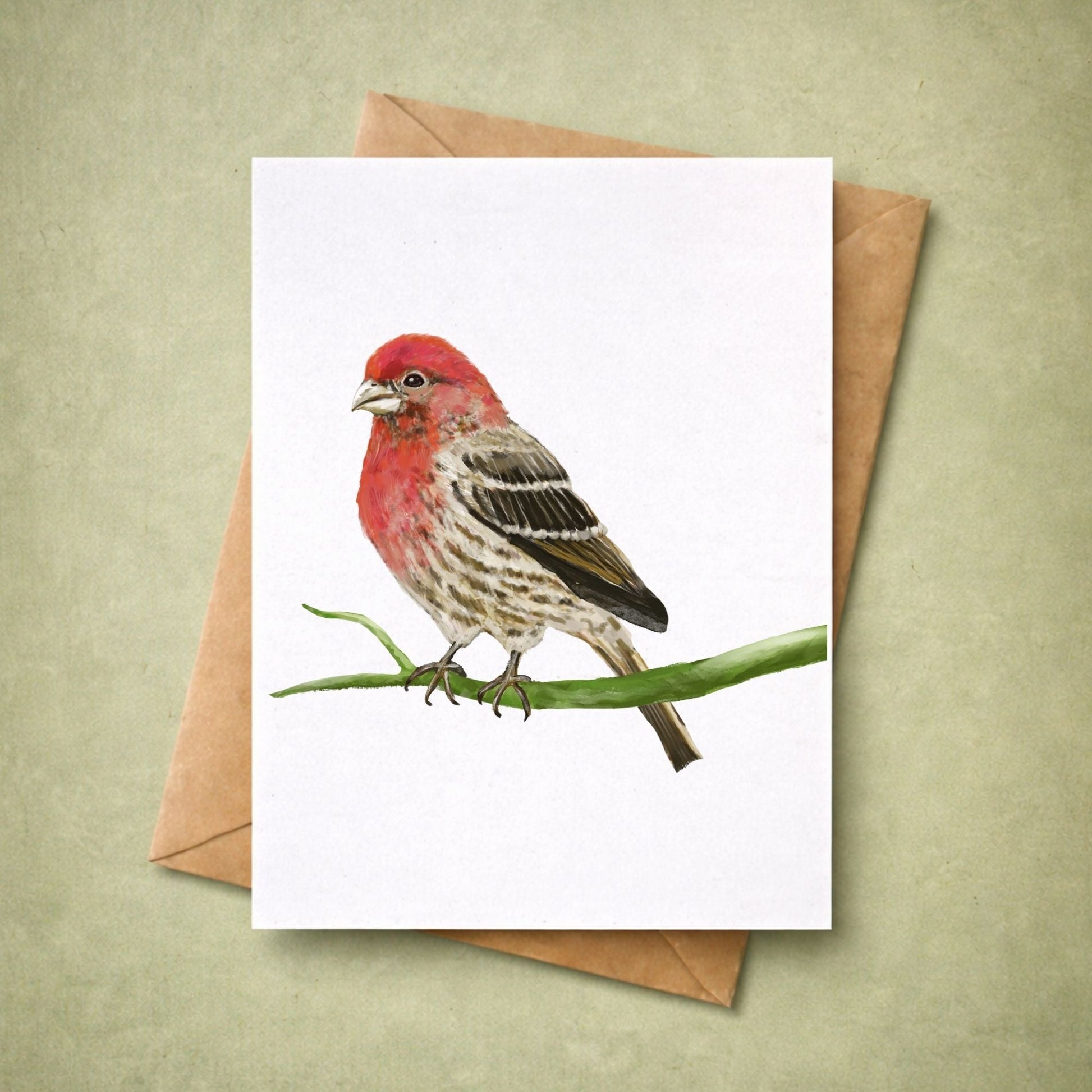 House Finch Postcard - MerikaArt