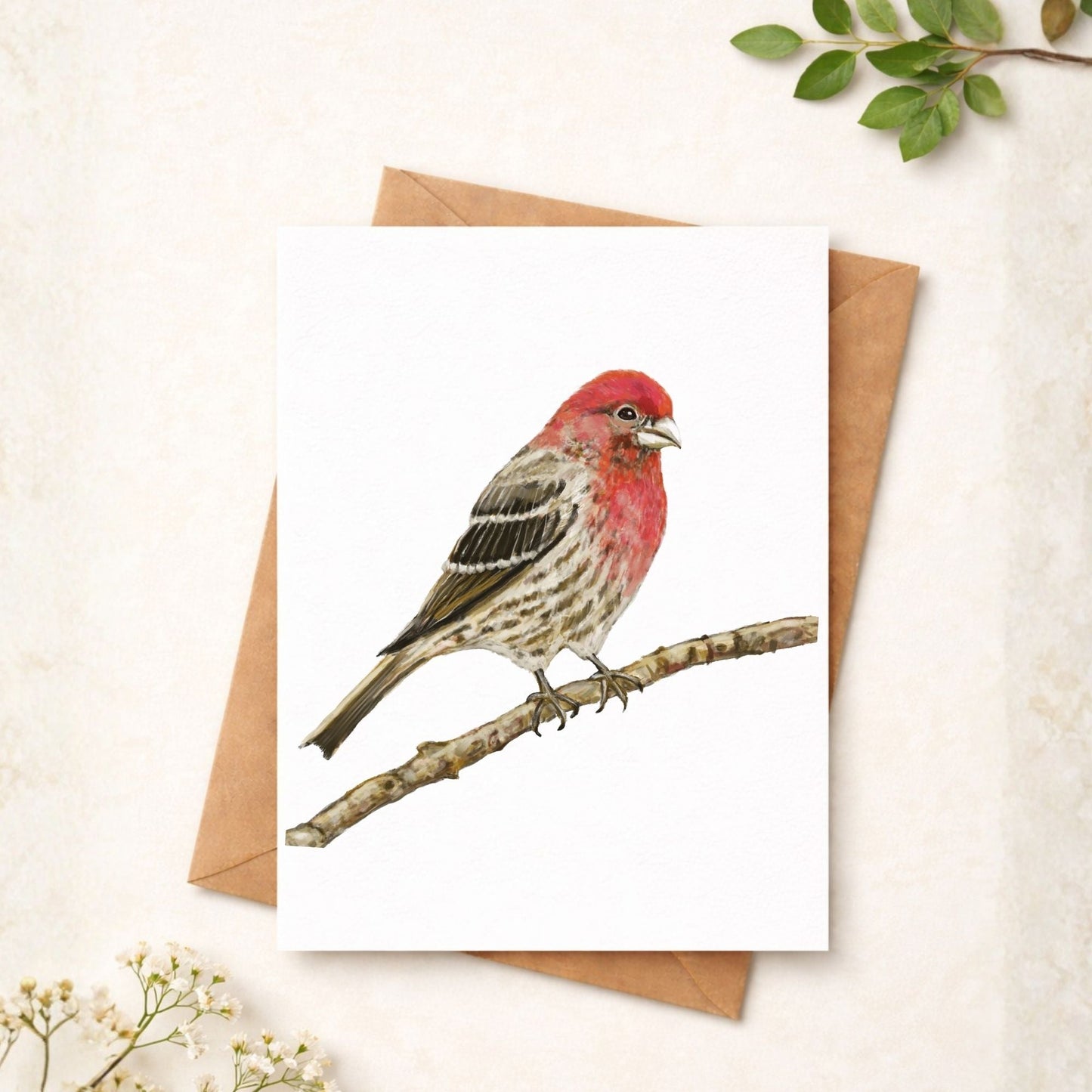 House Finch Postcard - MerikaArt