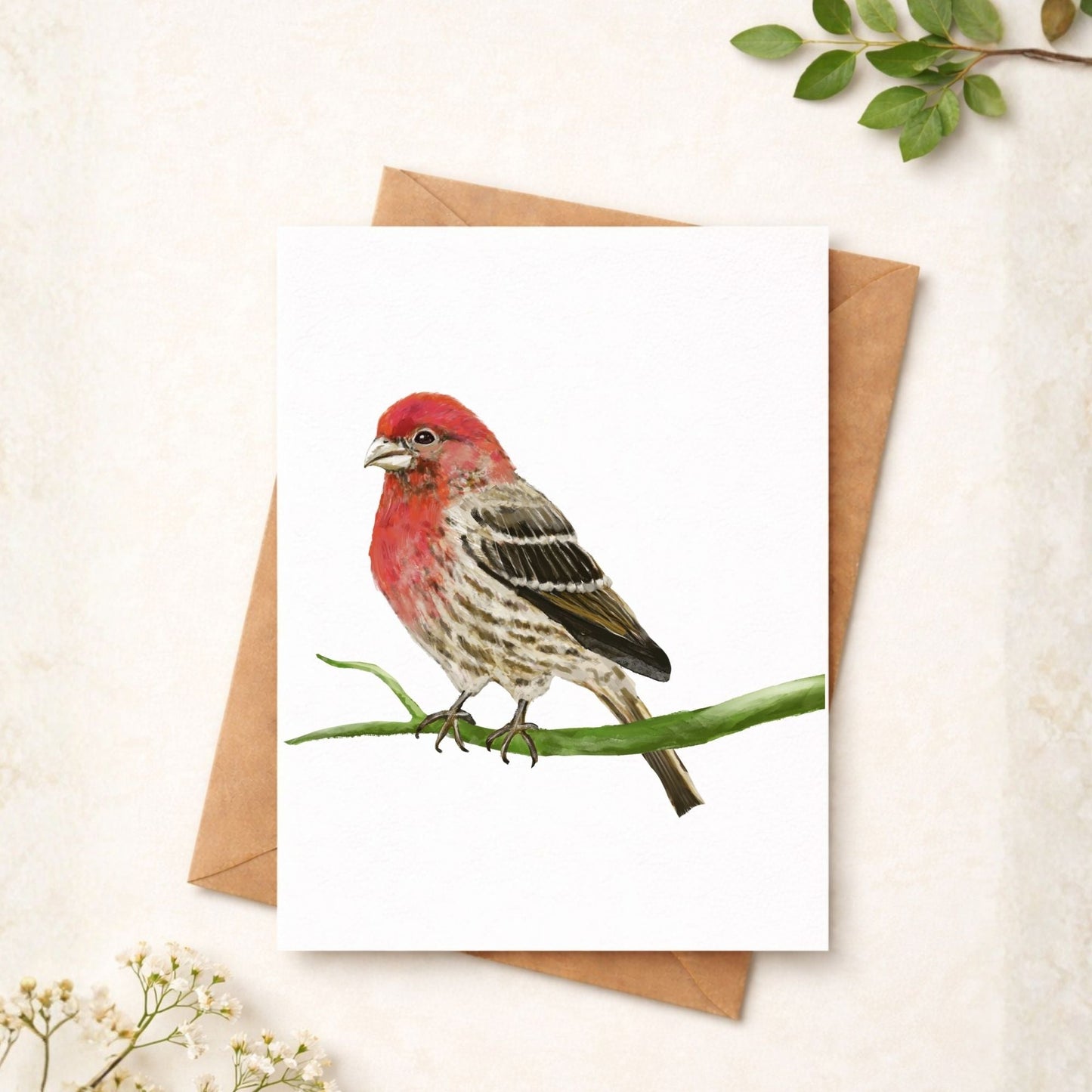 House Finch Postcard - MerikaArt