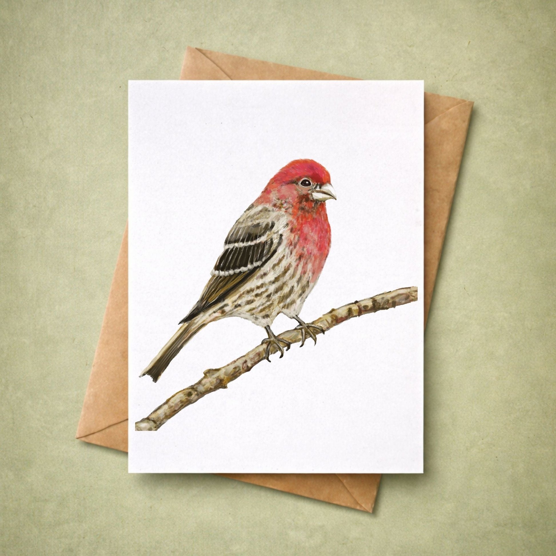 House Finch Postcard - MerikaArt