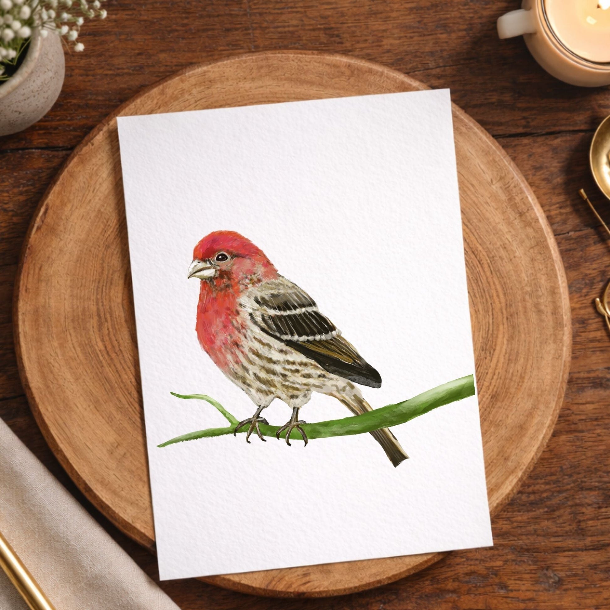 House Finch Postcard - MerikaArt