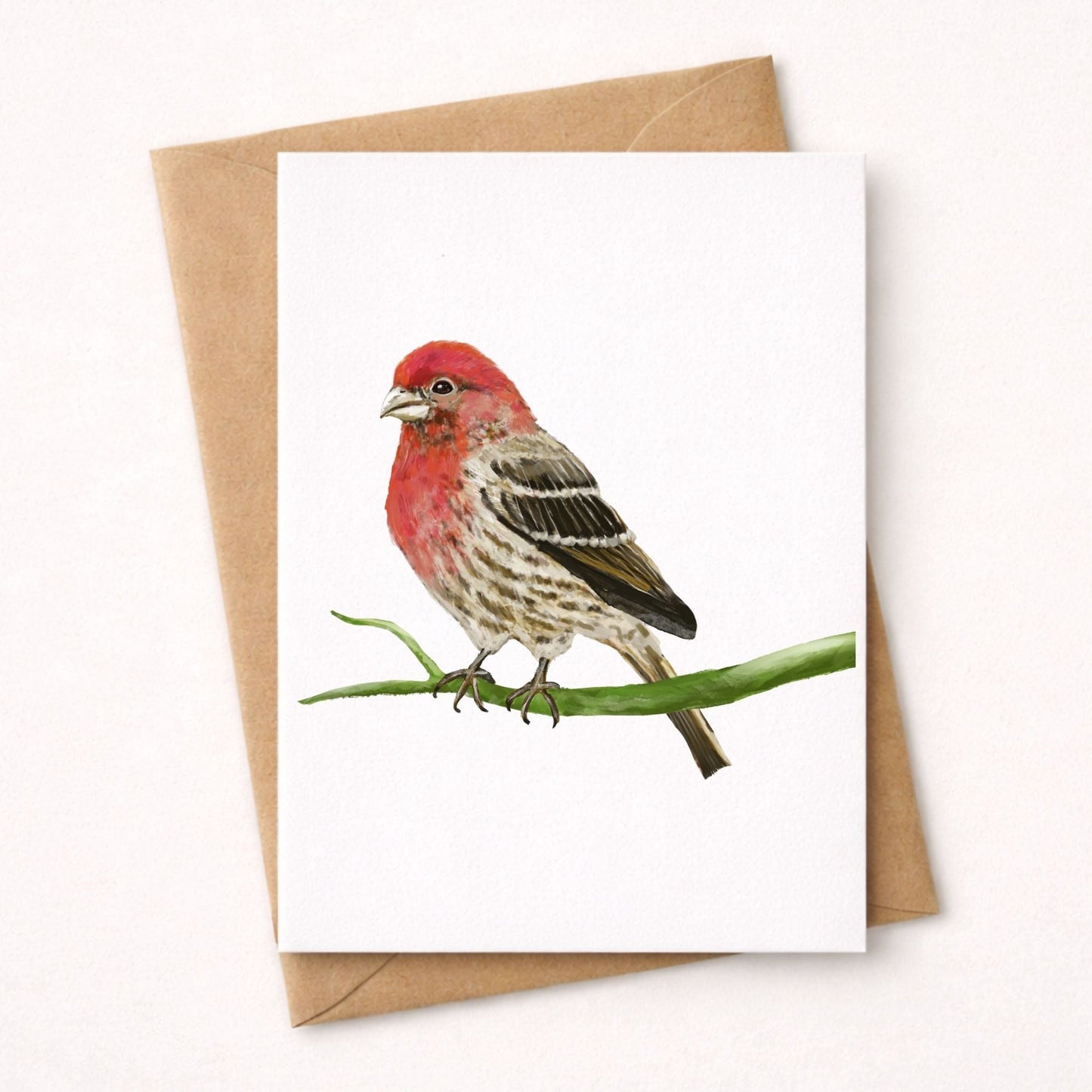 House Finch Postcard - MerikaArt