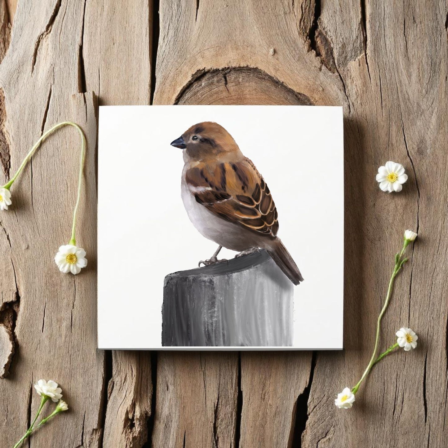House Sparrow Ceramic Tile - MerikaArt