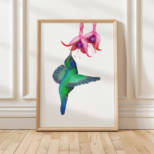 Hummingbird and Fuchsia Flower Art Print - MerikaArt