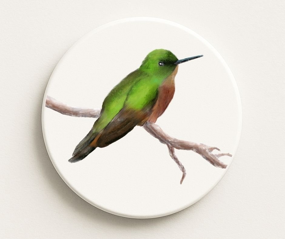 Hummingbird Ceramic Coaster - MerikaArt