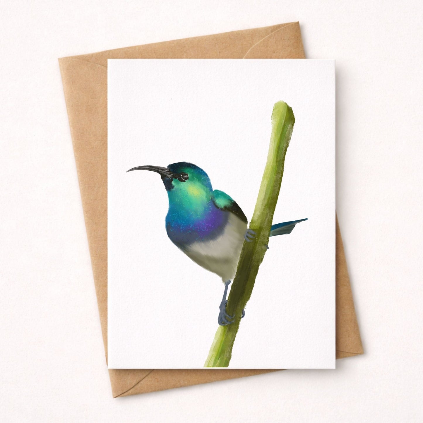 Hummingbird on Branch Postcard - MerikaArt