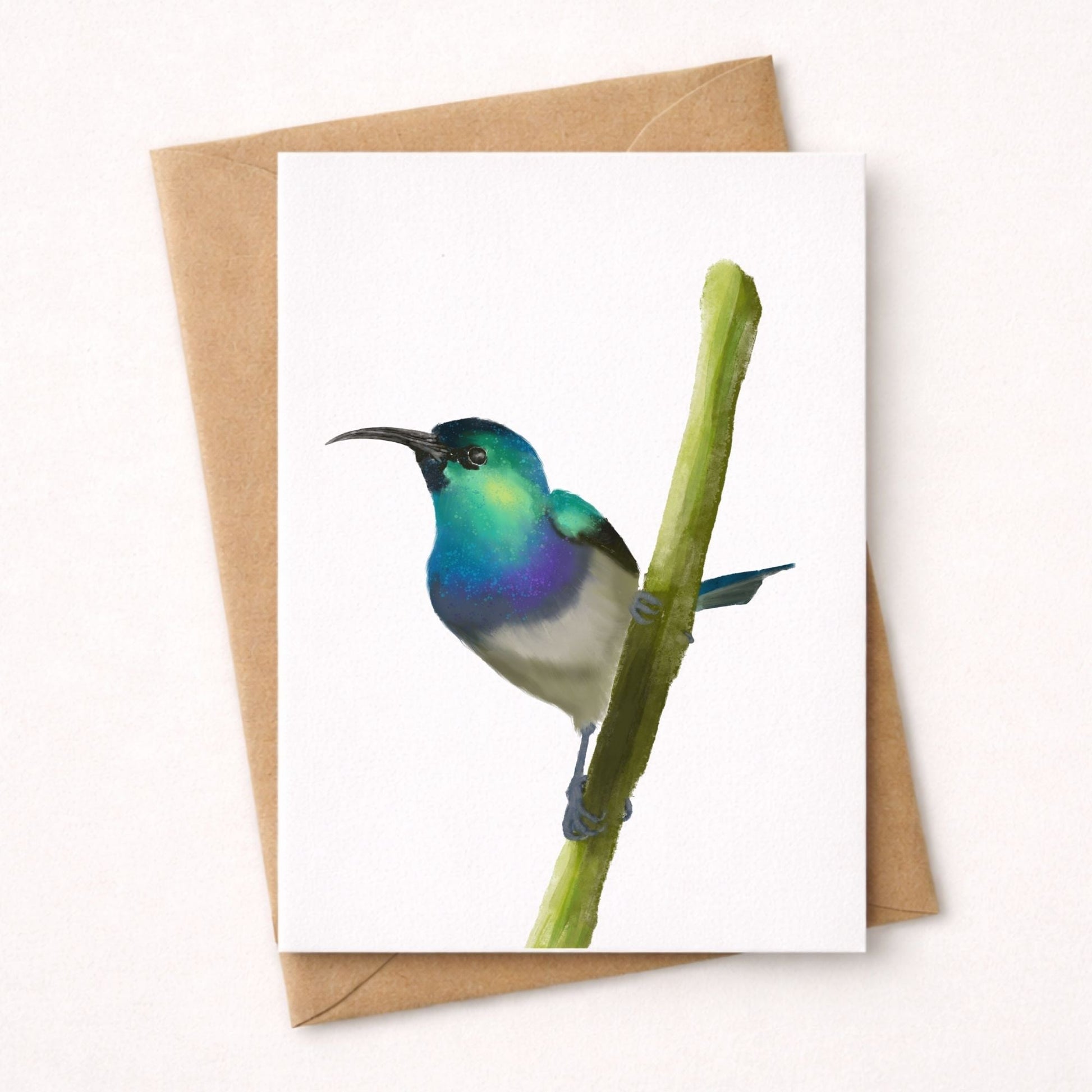 Hummingbird on Branch Postcard - MerikaArt