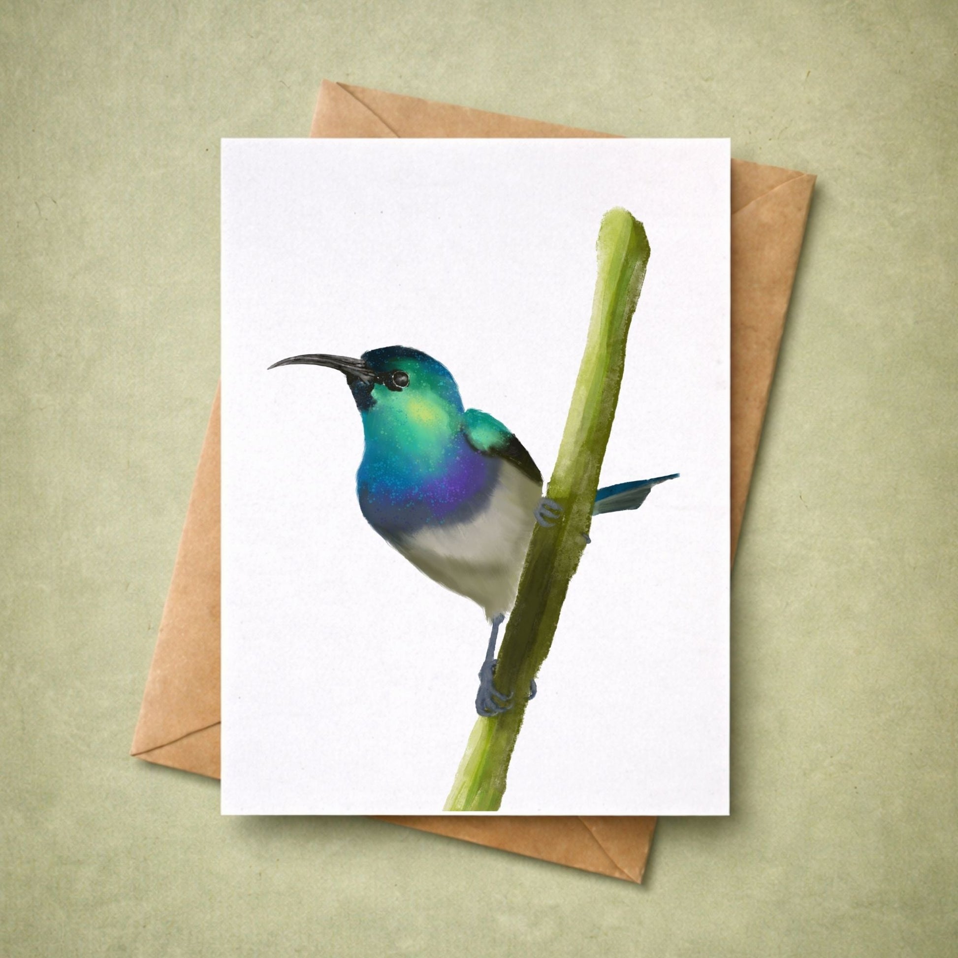 Hummingbird on Branch Postcard - MerikaArt