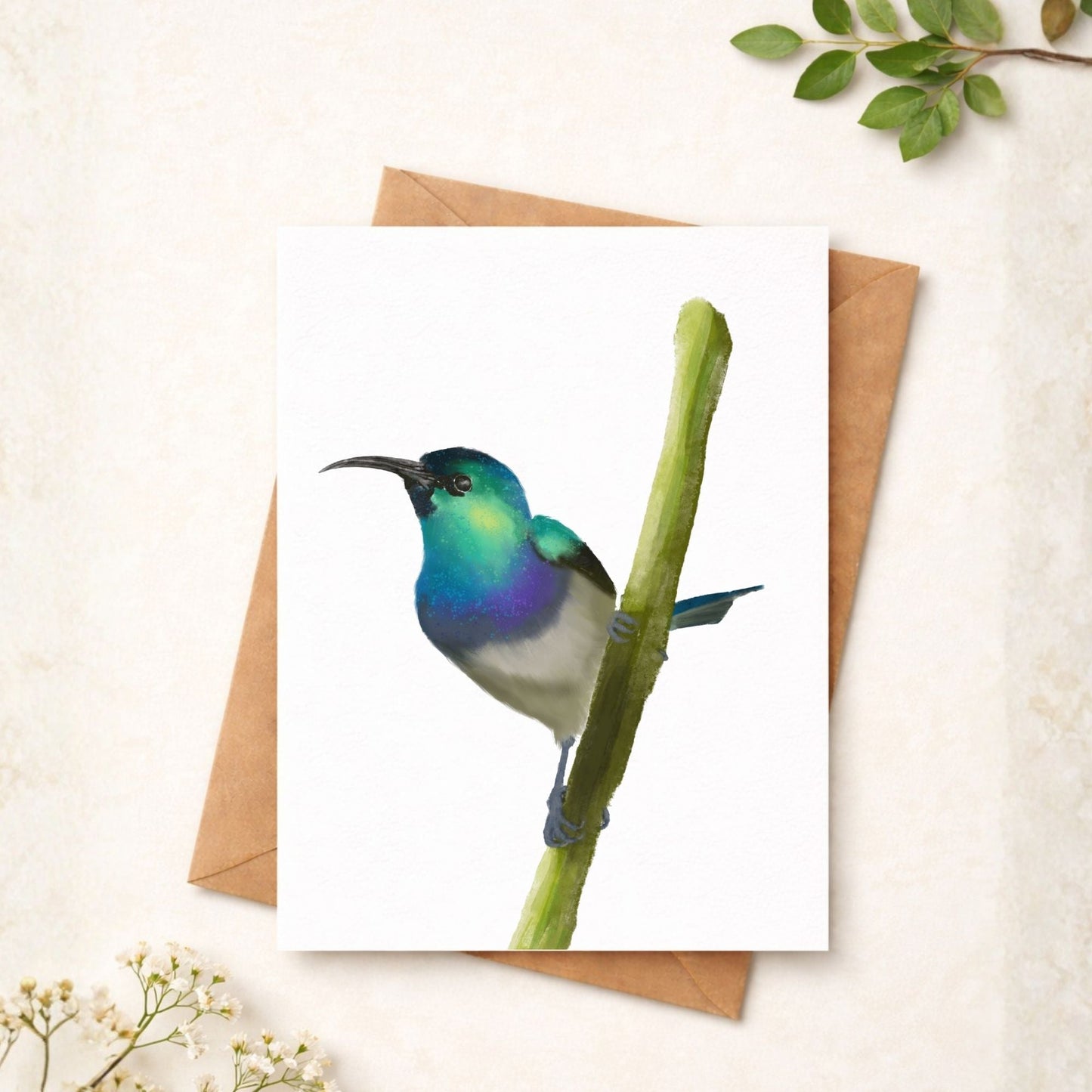 Hummingbird on Branch Postcard - MerikaArt