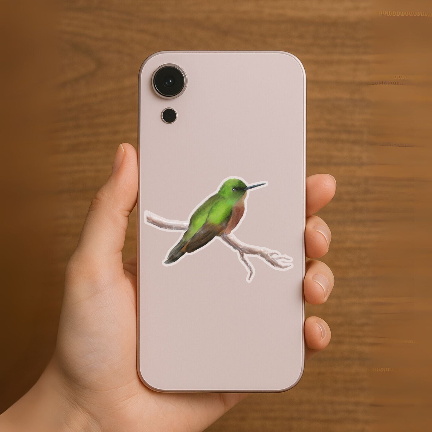 Hummingbird Sticker - MerikaArt