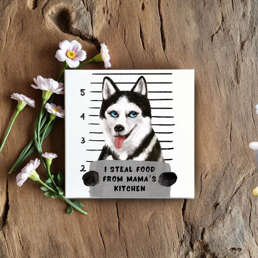 Husky Mugshot Ceramic Tile - MerikaArt