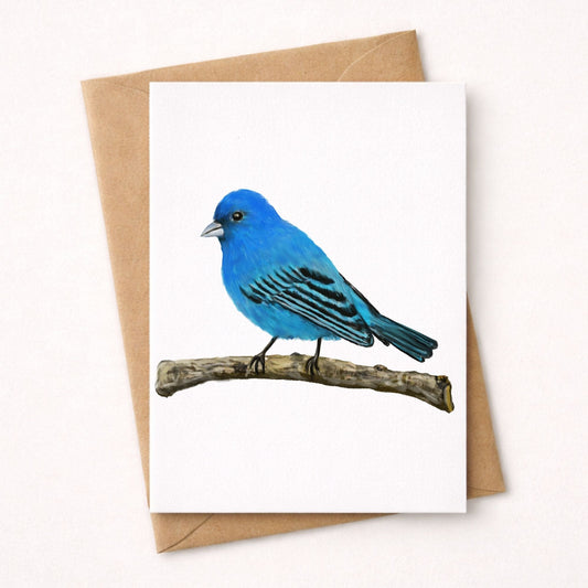 Indigo Bunting Postcard - MerikaArt