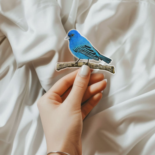Indigo Bunting Sticker - MerikaArt