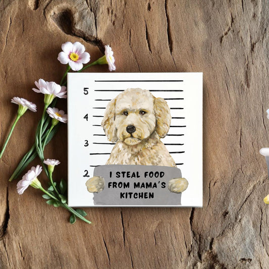 Labradoodle Mugshot Ceramic Tile - MerikaArt