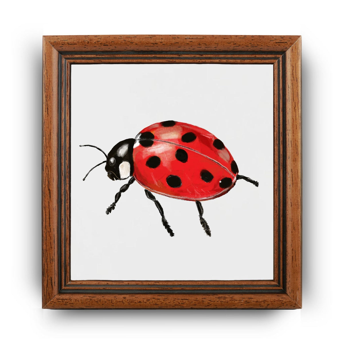Ladybug Ceramic Tile - MerikaArt
