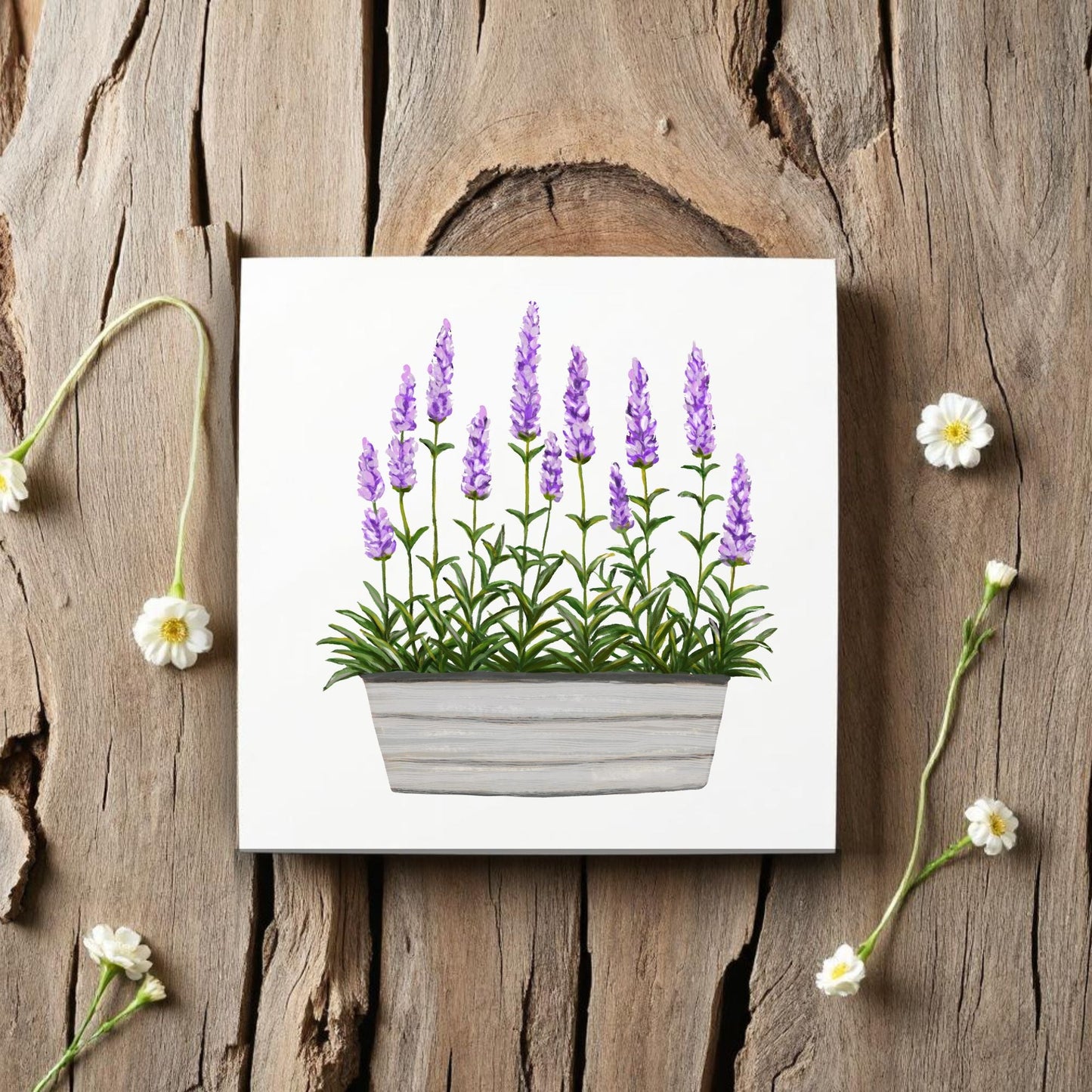 Lavender Planter Ceramic Tile - MerikaArt