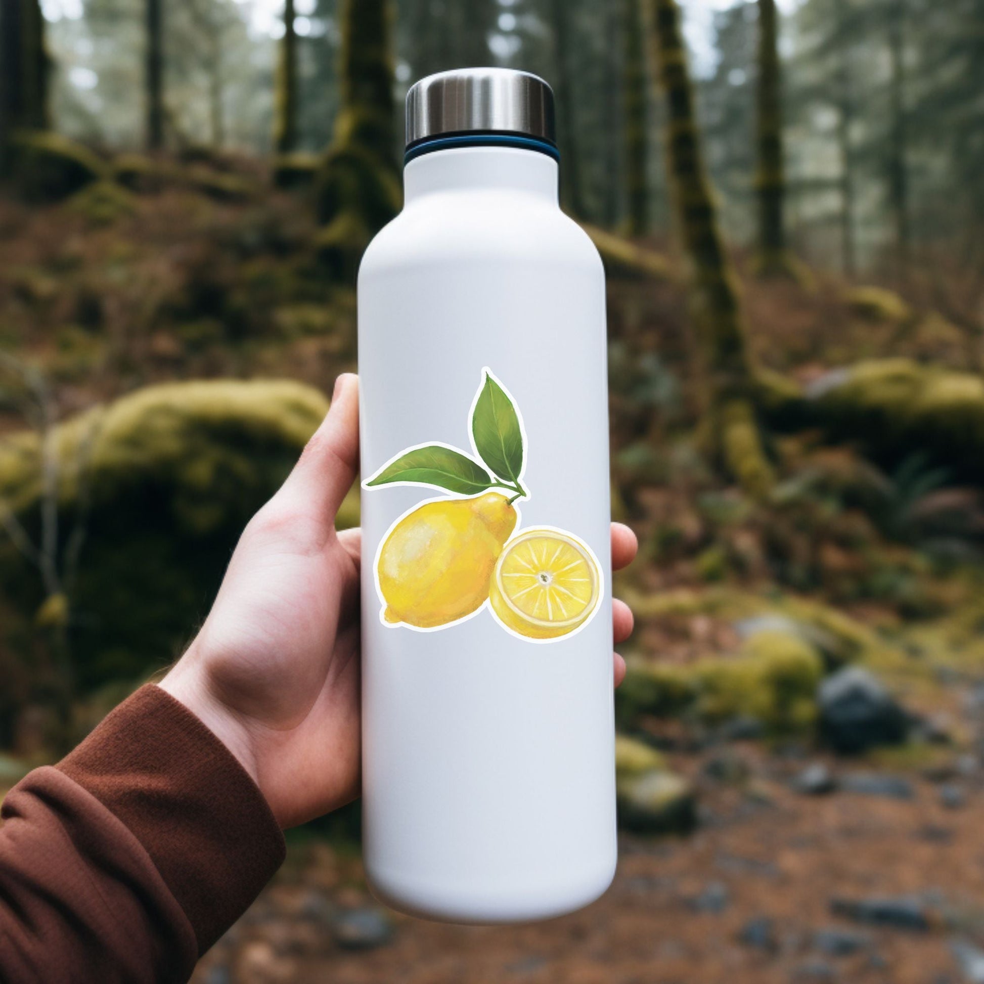 Lemon Fruit Vinyl Sticker - MerikaArt