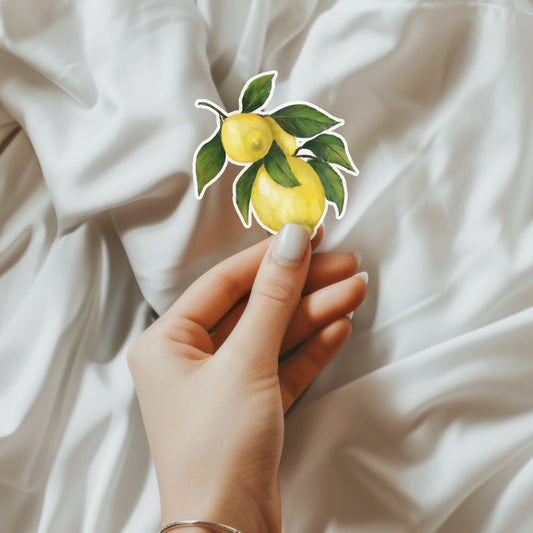 Lemon Pair Vinyl Sticker - MerikaArt