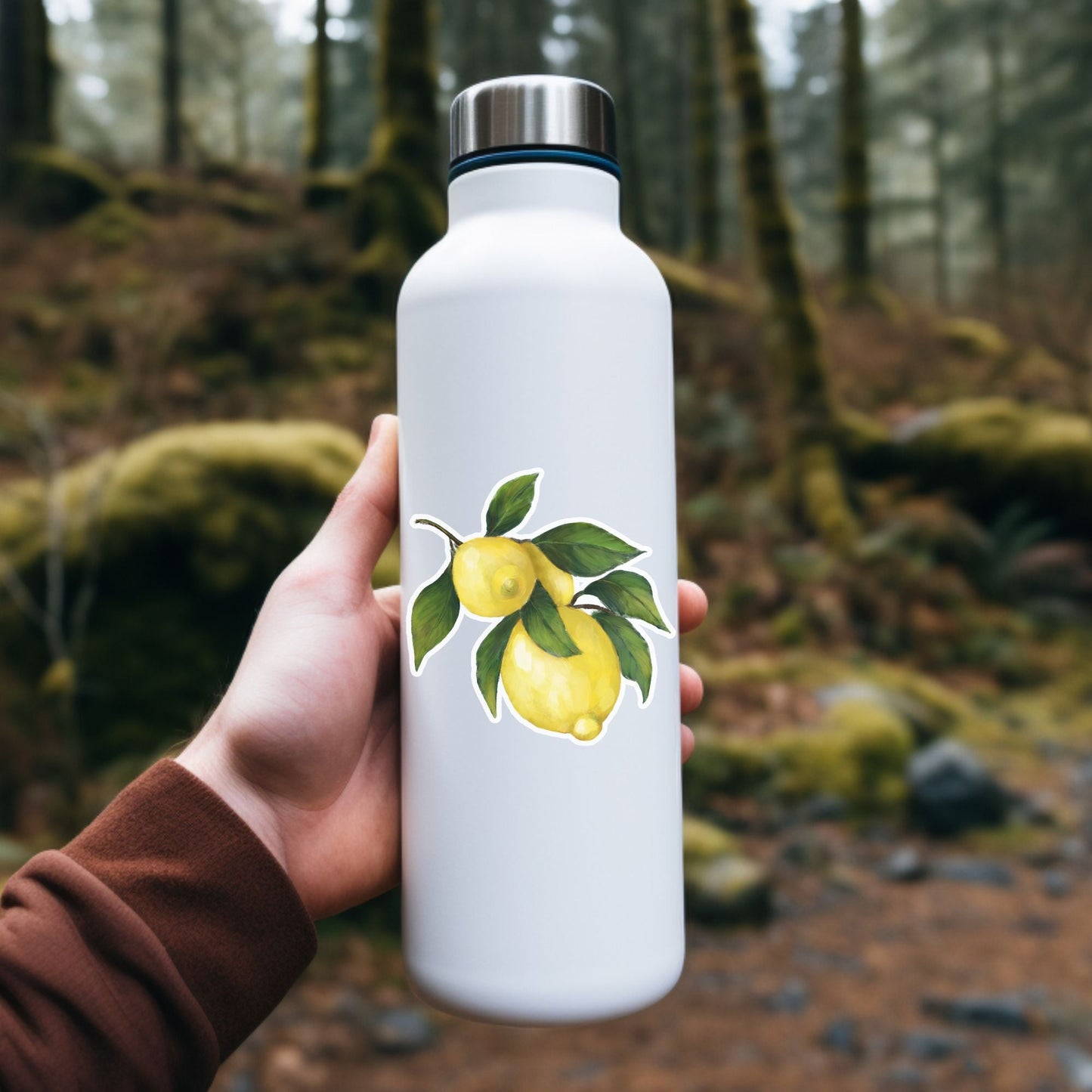 Lemon Pair Vinyl Sticker - MerikaArt