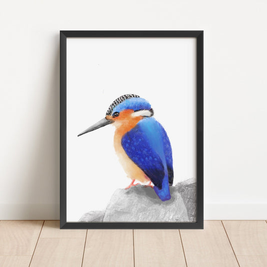 Malachite Kingfisher Art Print – Vibrant Blue and Orange Bird Decor - MerikaArt