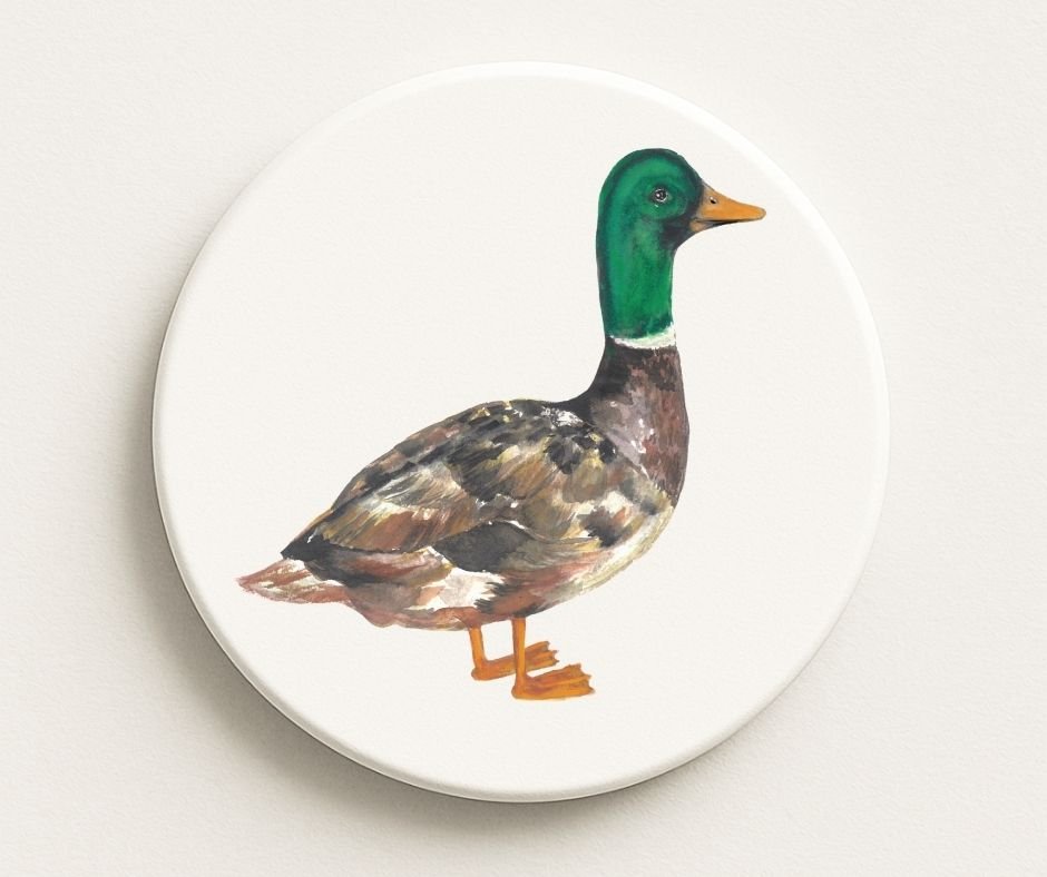 Mallard Duck Ceramic Coaster - MerikaArt