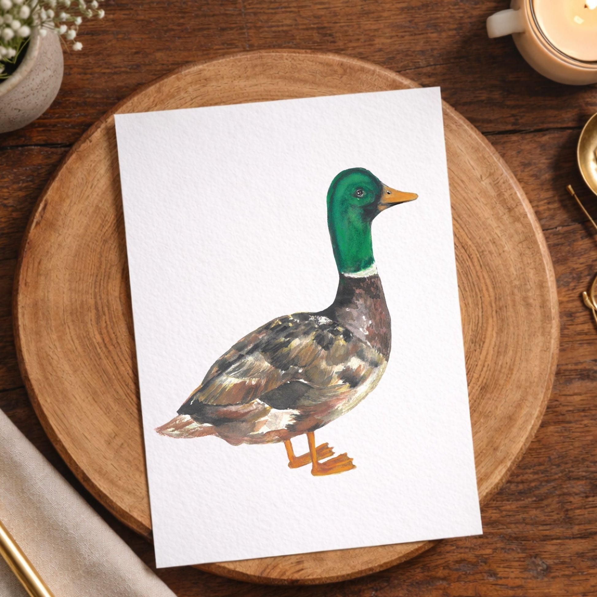 Mallard Duck Postcard - MerikaArt