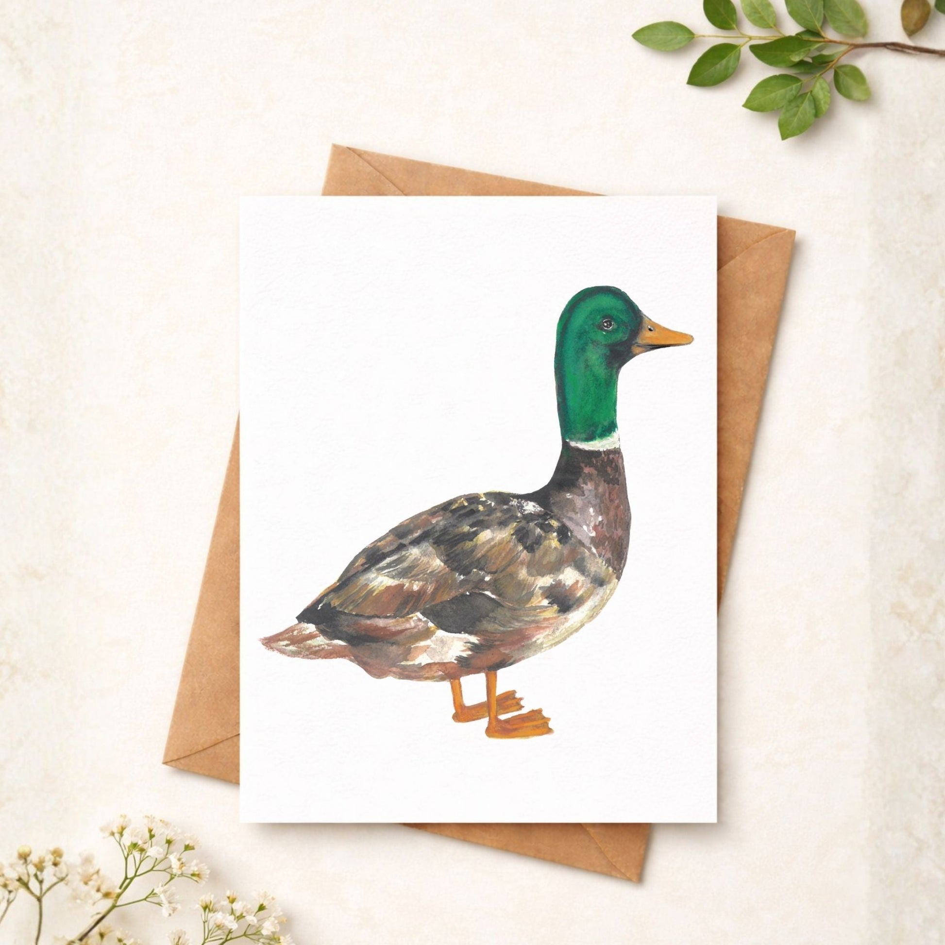 Mallard Duck Postcard - MerikaArt