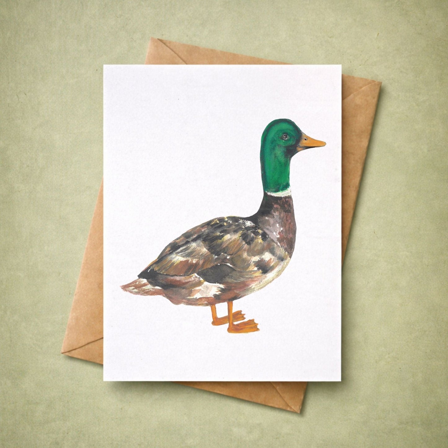 Mallard Duck Postcard - MerikaArt