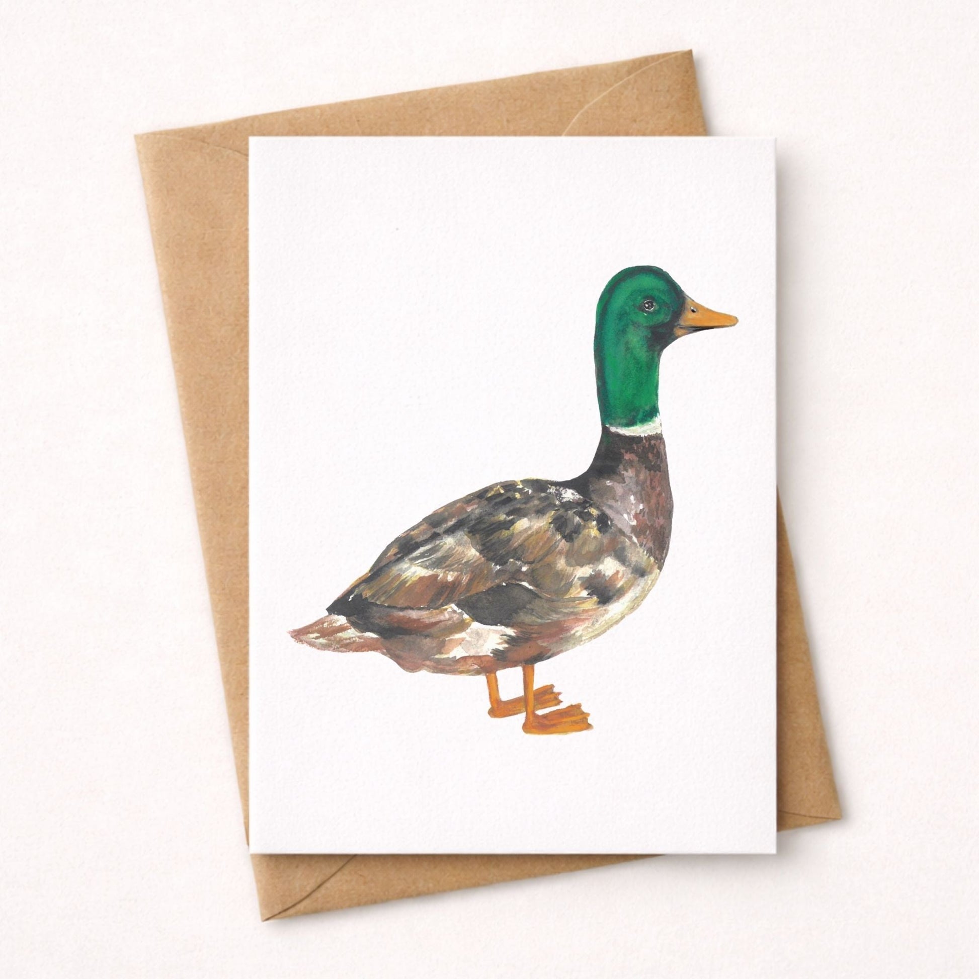 Mallard Duck Postcard - MerikaArt