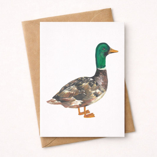 Mallard Duck Postcard - MerikaArt