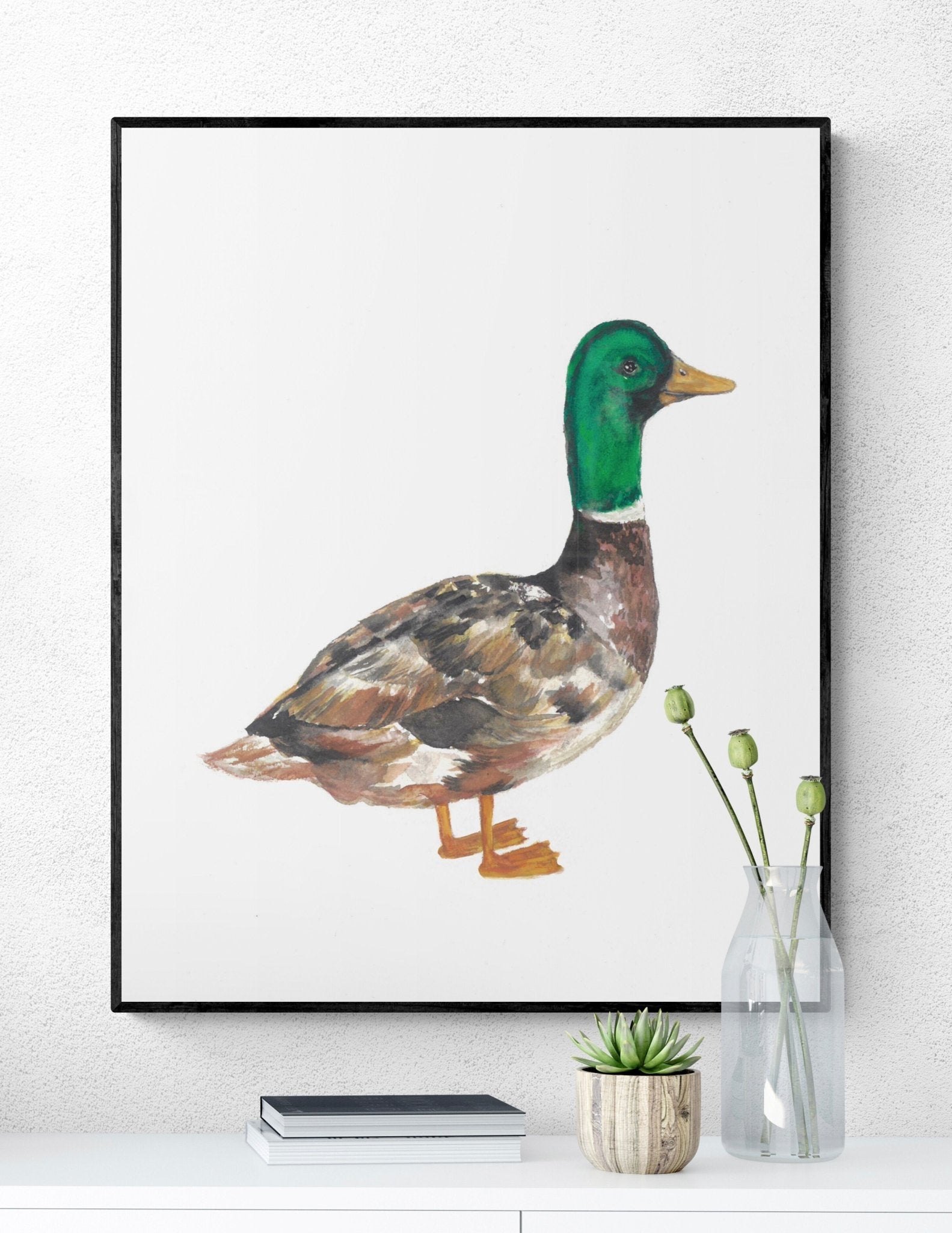 Mallard Duck Print - MerikaArt