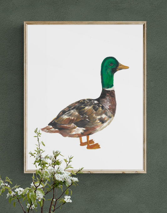 Mallard Duck Print - MerikaArt