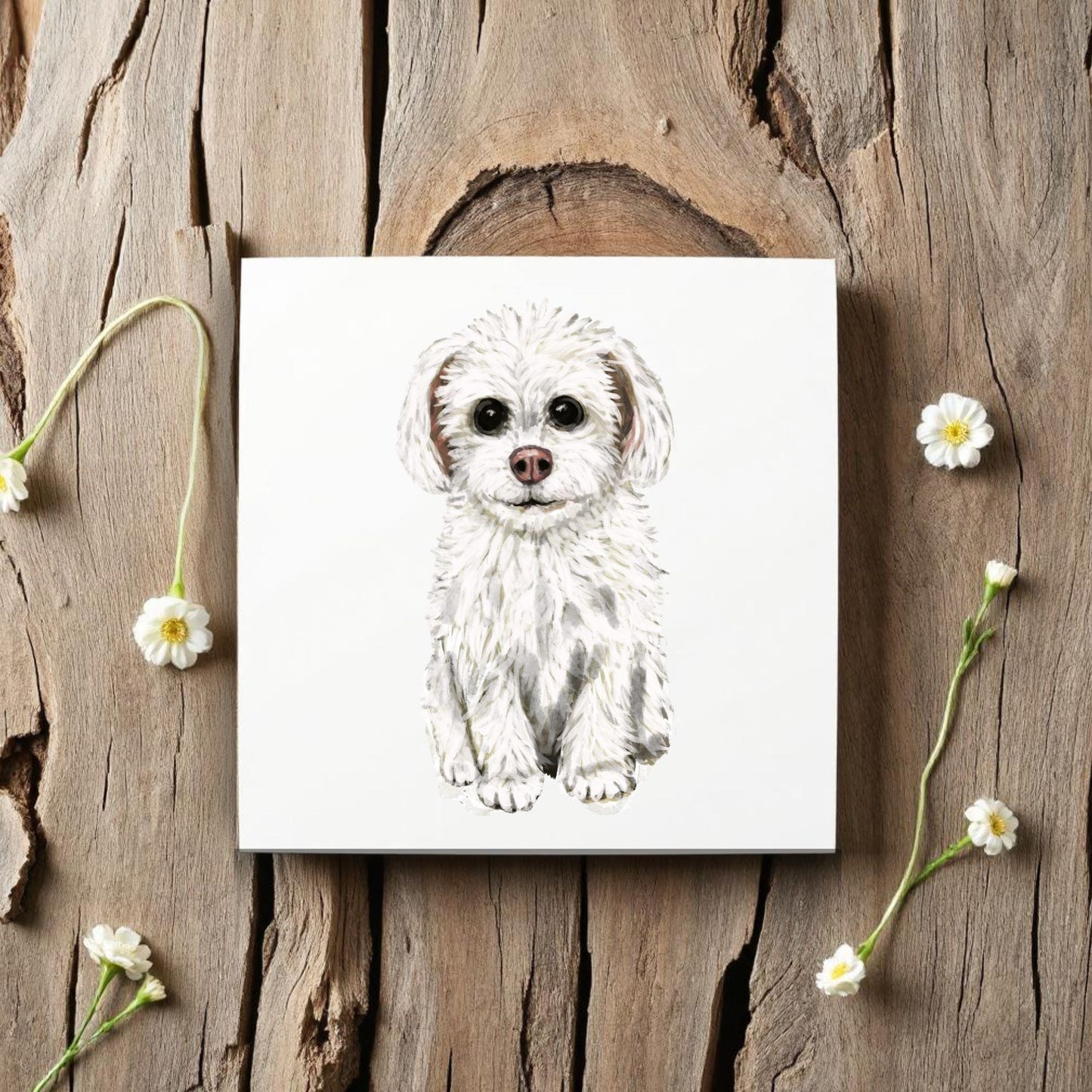 Maltese Dog Ceramic Tile - MerikaArt