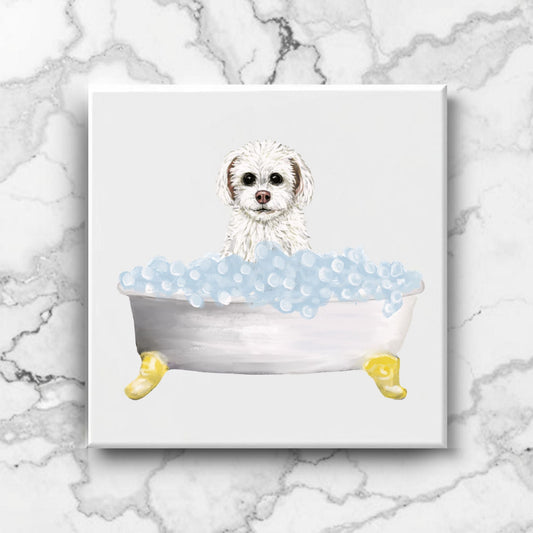 Maltese Dog Ceramic Tile - MerikaArt
