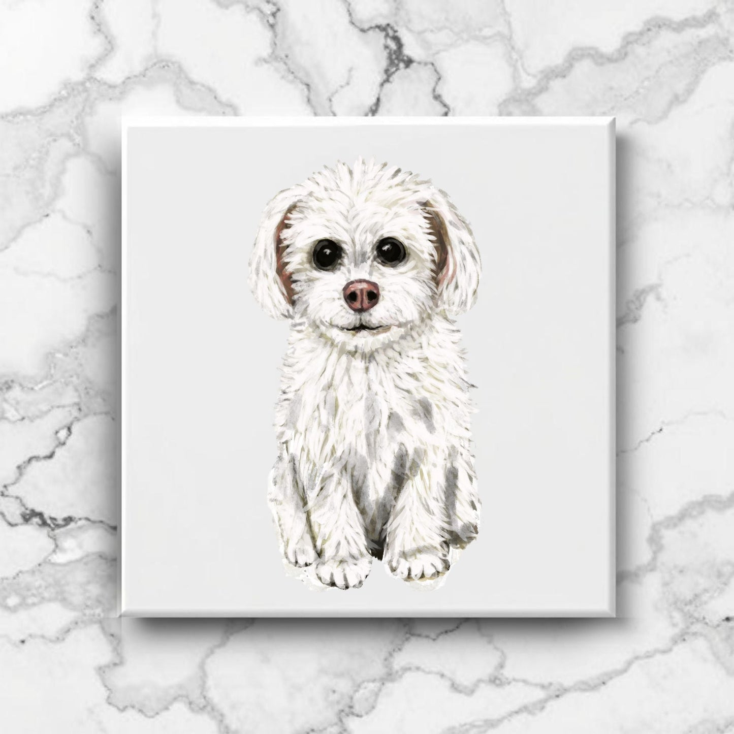 Maltese Dog Ceramic Tile - MerikaArt
