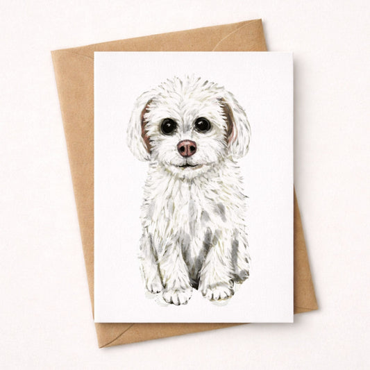 Maltese Dog Postcard - MerikaArt