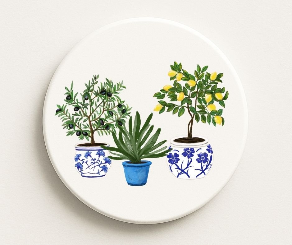 Mediterranean Potted Plants Ceramic Coaster - MerikaArt