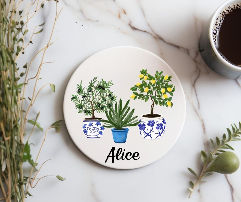 Mediterranean Potted Plants Ceramic Coaster - MerikaArt