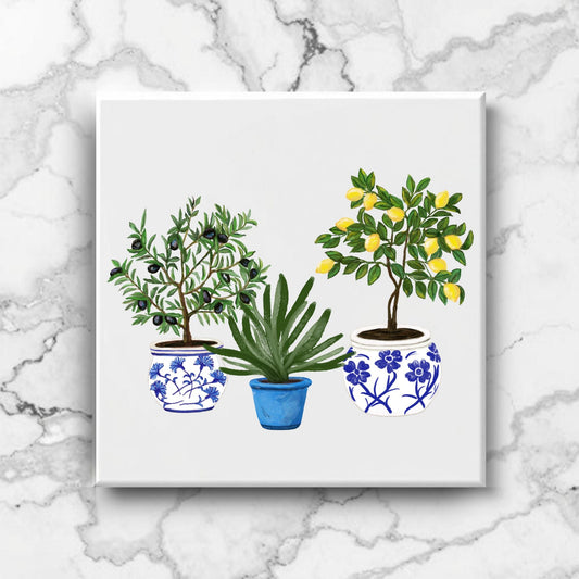 Mediterranean Potted Plants Ceramic Tile - MerikaArt