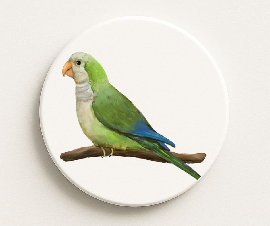 Monk Parakeet Ceramic Coaster - MerikaArt