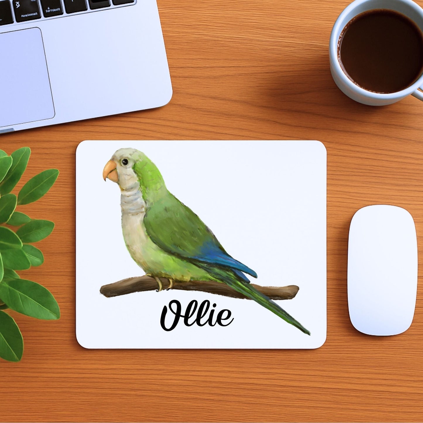 Monk Parakeet Mousepad - MerikaArt