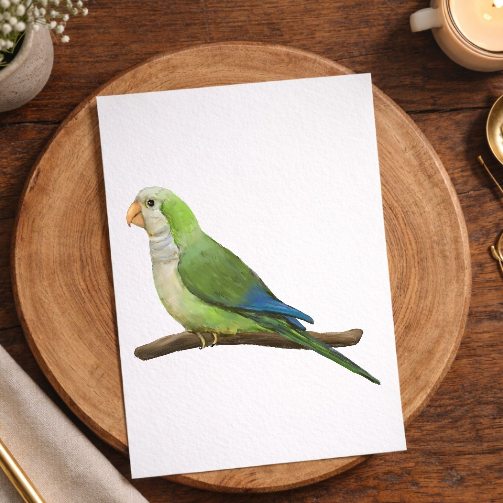 Monk Parakeet Postcard - MerikaArt