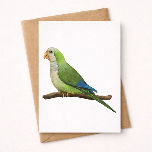 Monk Parakeet Postcard - MerikaArt
