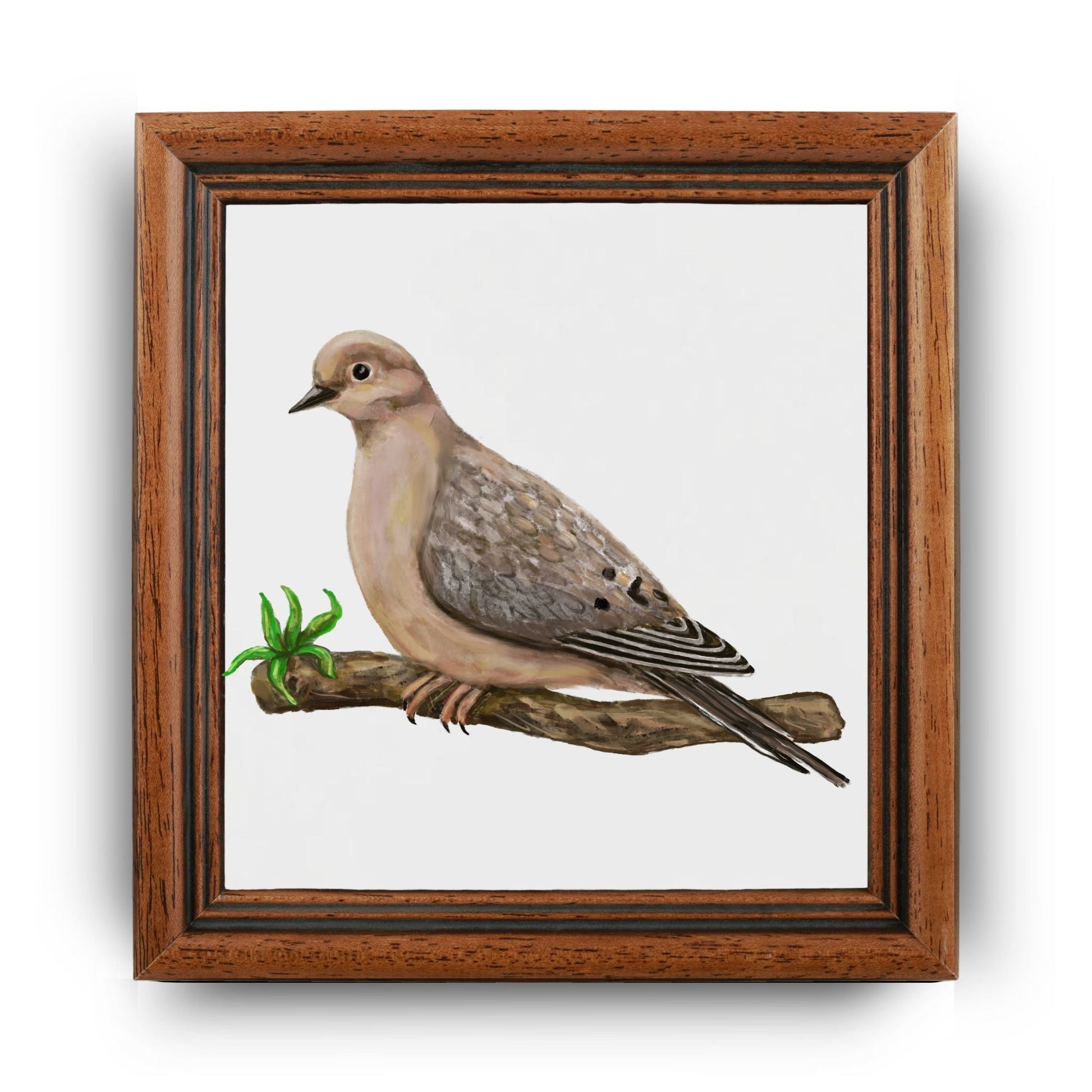 Mourning Dove Ceramic Tile - MerikaArt