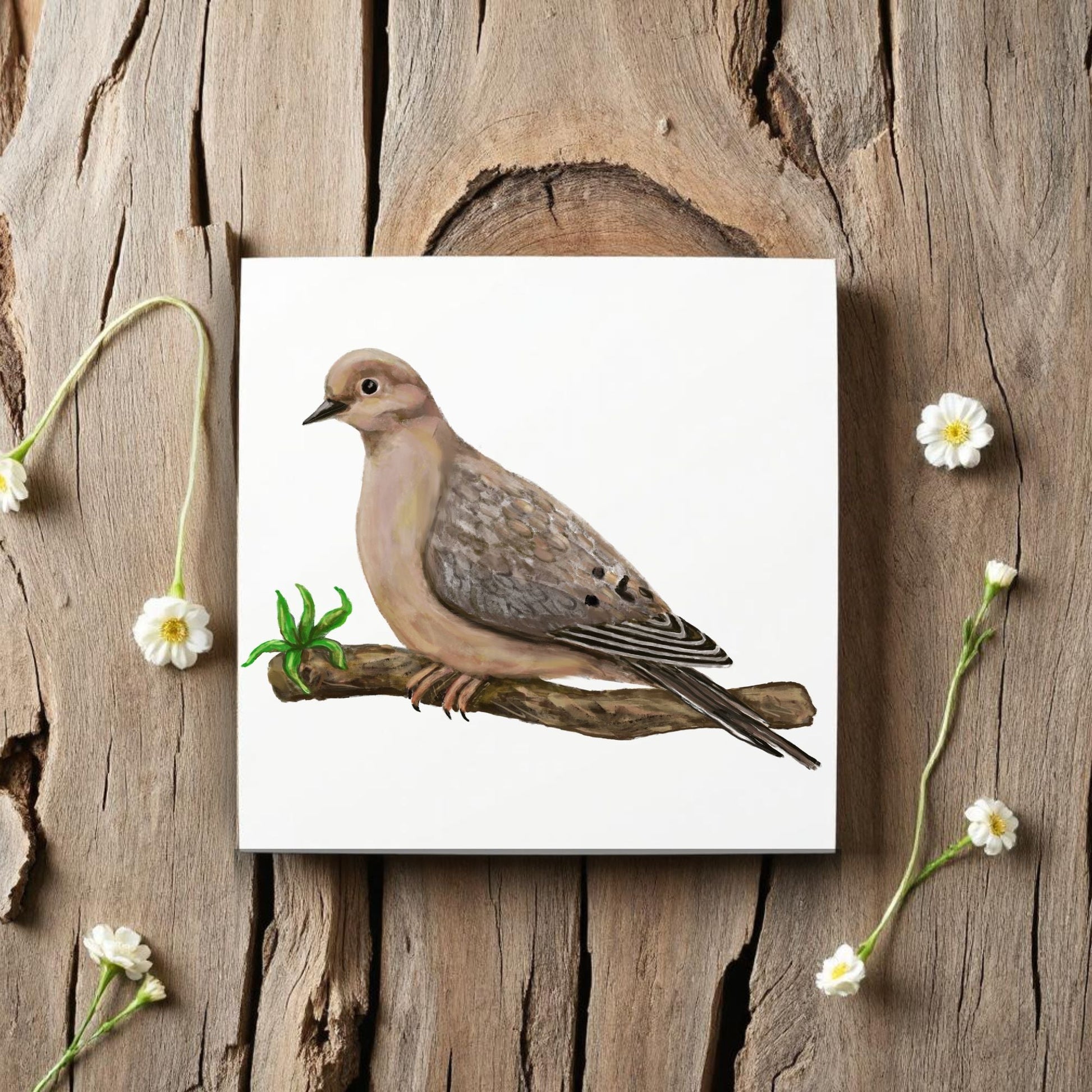 Mourning Dove Ceramic Tile - MerikaArt