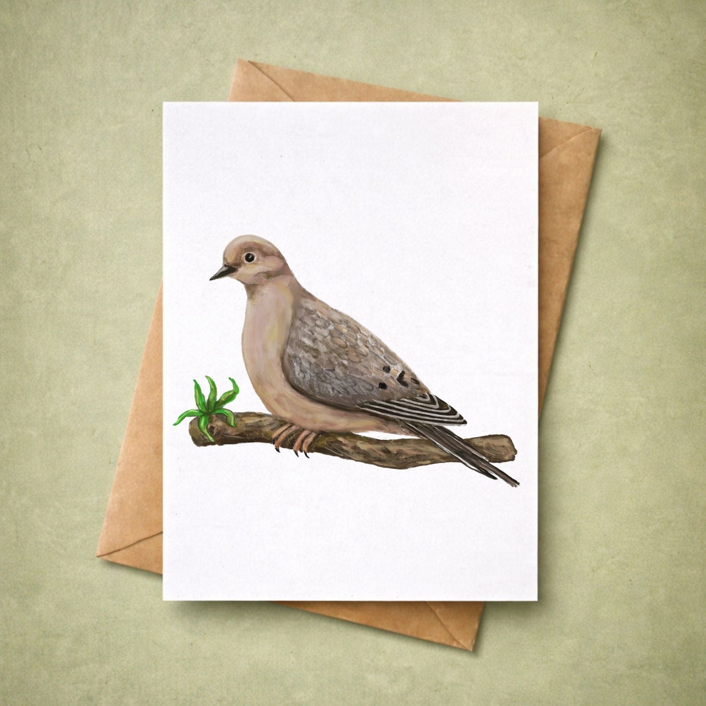 Mourning Dove Postcard - MerikaArt