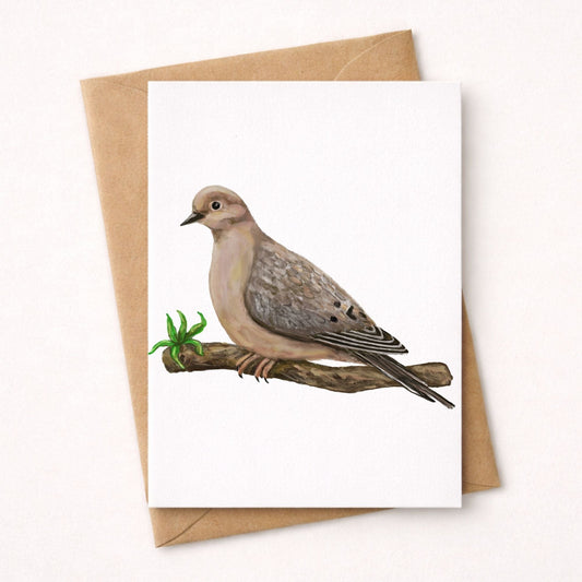 Mourning Dove Postcard - MerikaArt