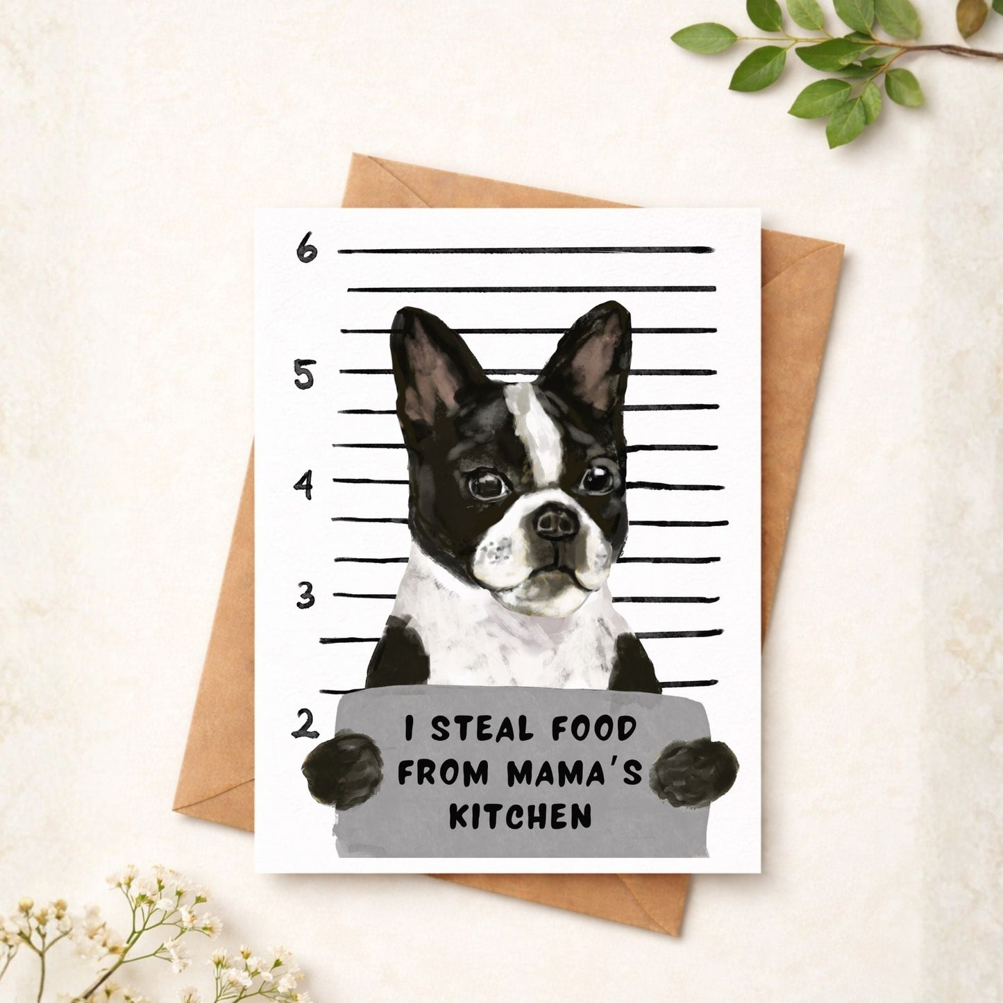 Mugshot Boston Terrier Dog Postcard - MerikaArt