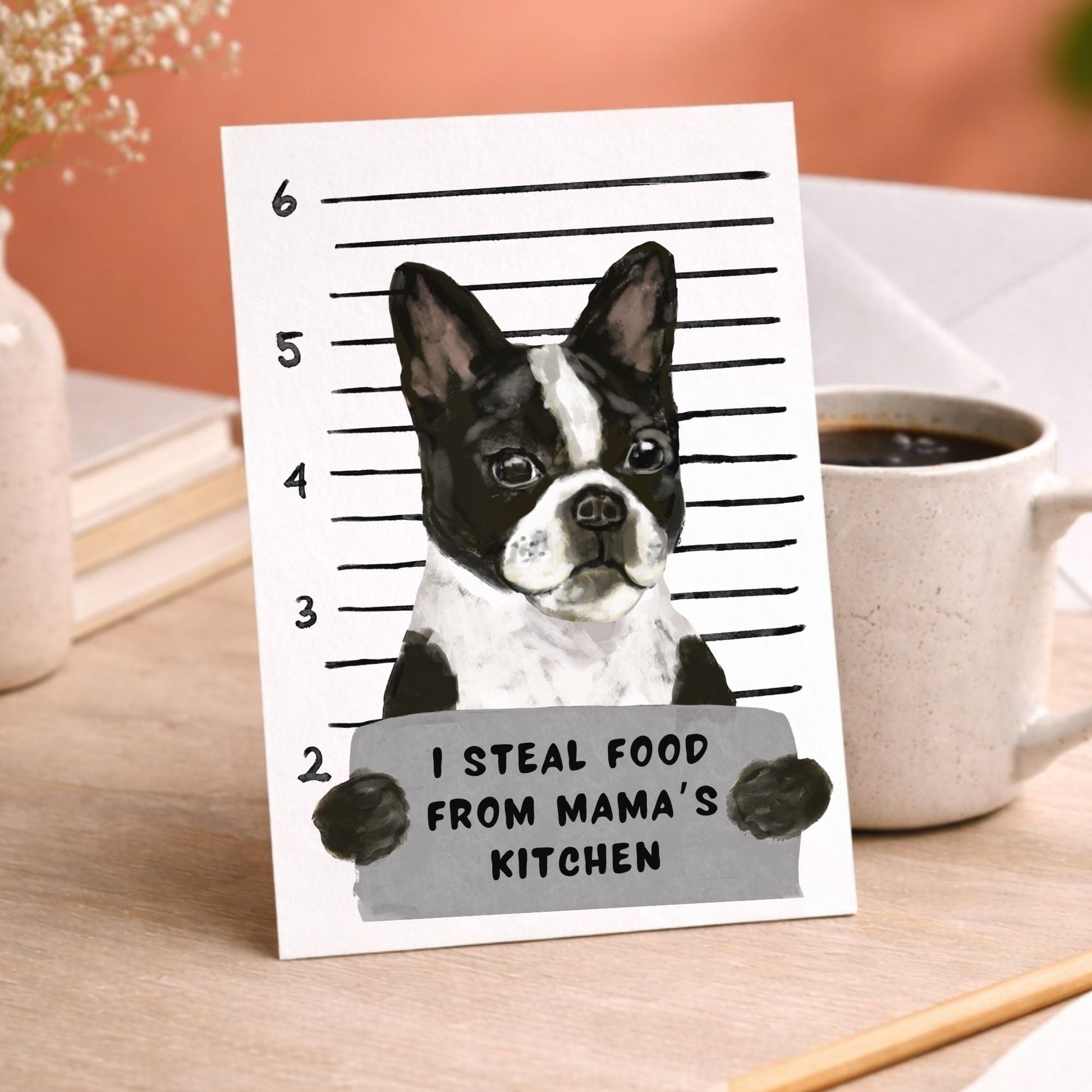 Mugshot Boston Terrier Dog Postcard - MerikaArt